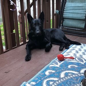 Meet your Posher, Jackie